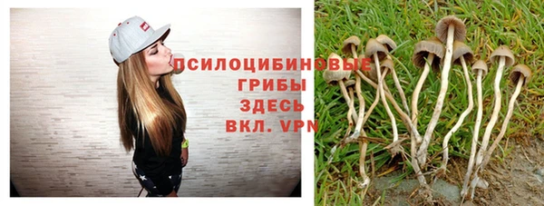 молекула духа Белоозёрский