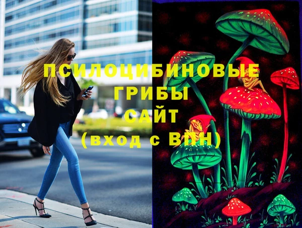 молекула духа Белоозёрский